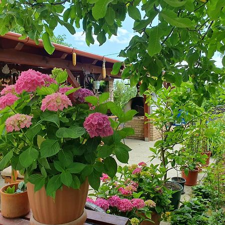 Feher Rozsa Apartman Черсектомай Екстериор снимка