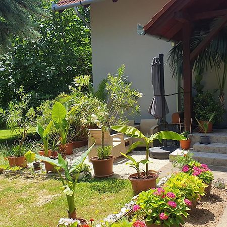 Feher Rozsa Apartman Черсектомай Екстериор снимка