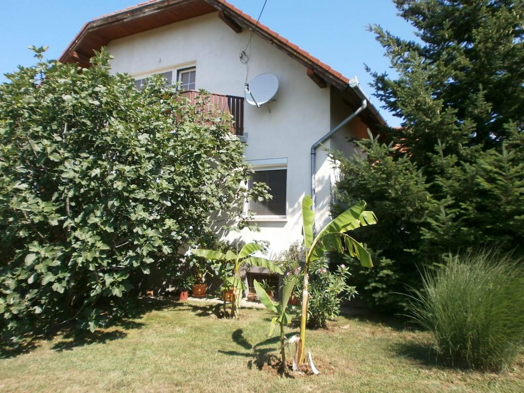 Feher Rozsa Apartman Черсектомай Екстериор снимка